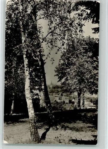 Werder Potsdamer Straße Insel