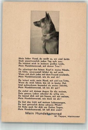 Gedicht Mein Hundekamerad von Tappe