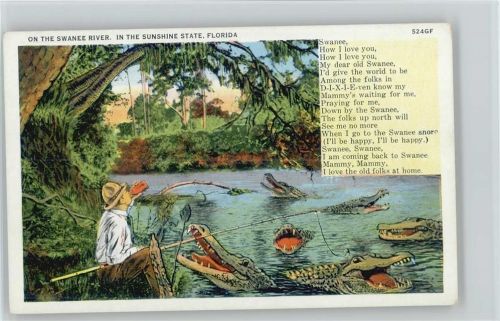 On the Swanee River - Krokodile - Florida - Angler