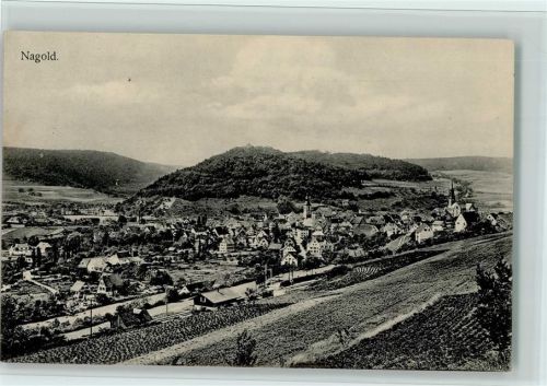 Nagold Blick auf Nagold