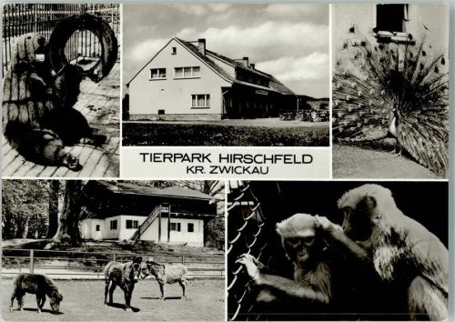 Tierpark Hirschfeld - Konsum Gasthaus "Bärenschenke" 1977 AK