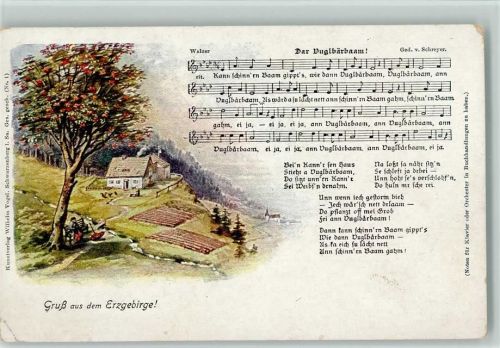 Dar Vuglbärbaam . Verlag Vogel Nr. 1 AK
