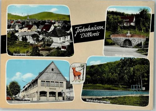 Frohnhausen Panorama Sauer-Brunnen Rathauspartie Wald-Schwimmbad 4-Bildaufnahme