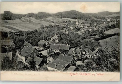 Sülzhayn Blick auf Sülzhayn