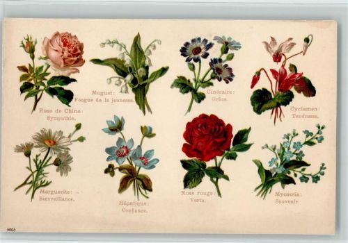 ca 1900 AK Blumensprache 1900