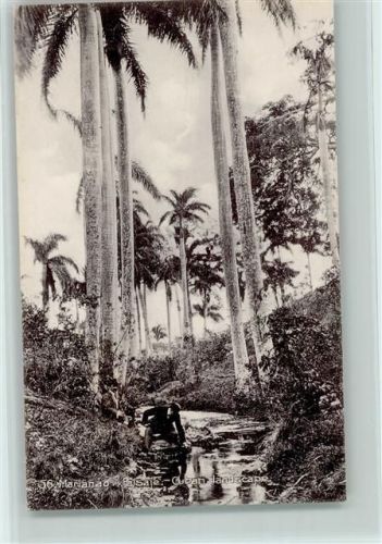 Marianao Paisaje Cuban landscape