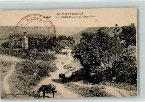 Rabat Vue générale de Chella Ancienne Ville