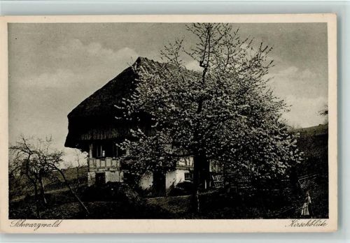Schwarzwald Idylle die Kirschblüte , Werbung Rückseite: SABA Radio Apparate sind Meisterwerke Schwarzwälder Feinmechanik