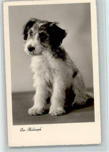 Der Philosoph Foto ca 1936 AK