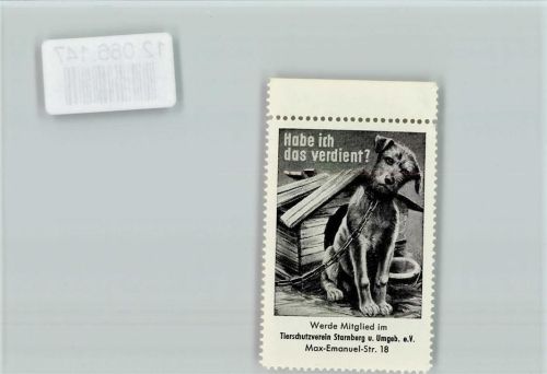 Vignette - Tierschutzverein Starnberg - Hund vor der Hundehütte