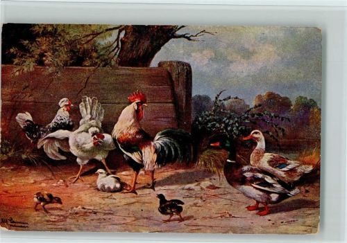 Serie 255 Hühner, Küken und Enten - Eckknick