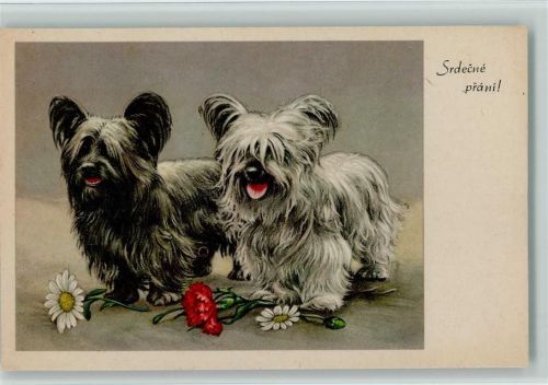 Zwei Yorkshire Terrier ca 1930 AK