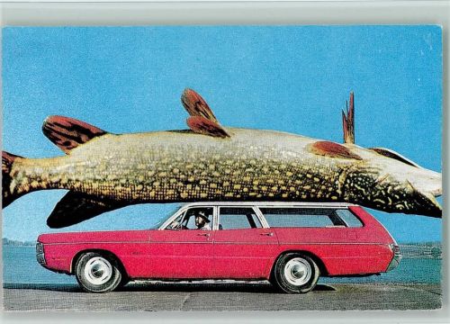 Fotomontage - Riesenfisch liegt auf einem Auto
