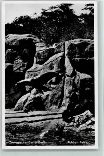 Zool. Garten Berlin - Robben Felsen ca 1937 AK