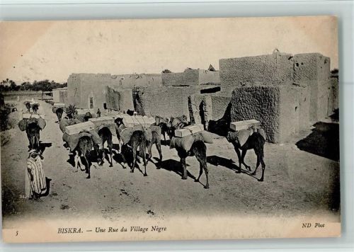 Biskra Une Rue du Village Negre, Händler mit Dromedare , gute Erhaltung AK