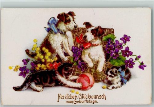 EAS 6306 - Geburtstag - 2 Katzen spielen mit einem Ball, Hunde sitzen im Korb 1940 AK