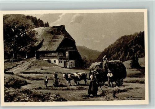 Schwarzwaldhaus, Bauernhaus , Heuernte