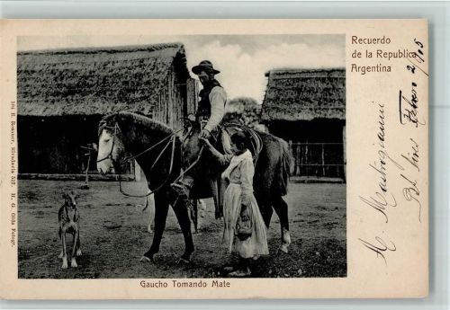 1905 Gaucho Tomando Mate Windhund
