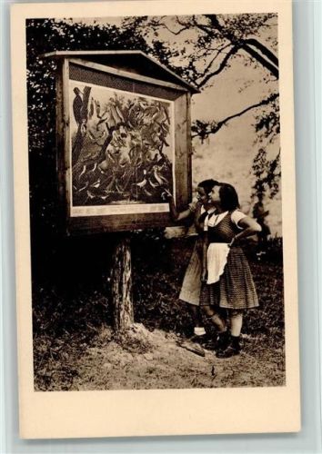 Nr. 100 Österr. Tierschutzvein - Vogeltafel am Wanderweg im Vogelschutzpark