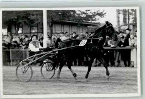 1952 Trabrennen Foto 1952 AK Foto von Linfert Trabersport Fotograf Wandsbek