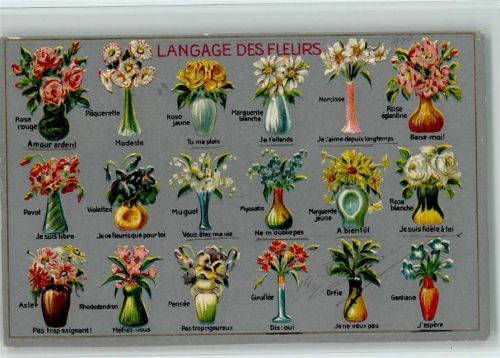 Nr. 77 Langage des Fleurs - Artist Atelier Guggenheim Nr. 13591 AK Blumensprache 1913