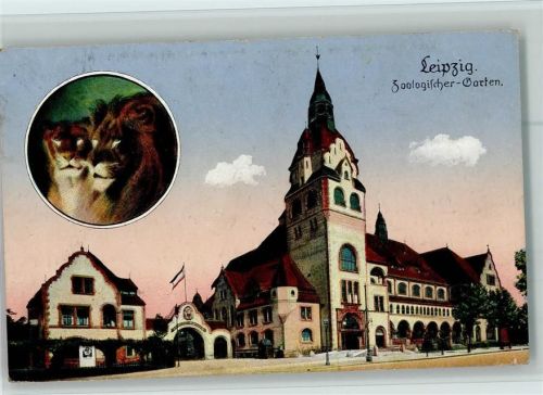 Leipzig Zoologischer Garten Löwen