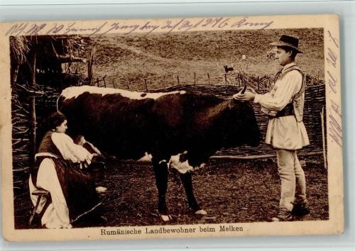 1918 Landbewohner beim Melken der Kuh - Volkstypen