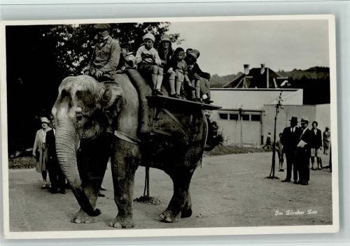 Zürich 1934 Zoo Zürich - Elefanten-Ausritt AK gute Erhaltung