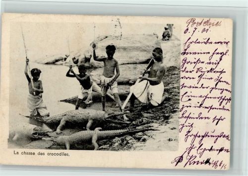 Jagd - La chasse des crocodiles 1901 AK