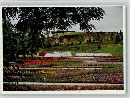 Stuttgart 1939 Sommerblumen Terrasse - Naturfarbenfotografie Nr. 214 AK