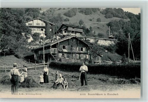 Morschach Bauernhäuser in Morschach