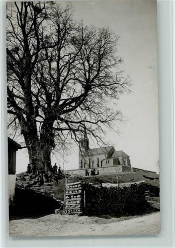 Neuötting 1935 Wald -- Bäume - Linde und Kirche , gute Erhaltung AK