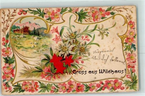 Wildhaus 1906 Prägedruck Alpenflora Edelweiß AK