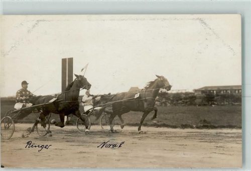 Horn Trabrennbahn "Ringer und Nora"