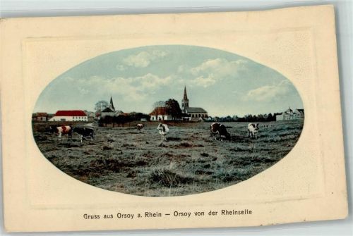 Orsoy Kuhweide Scan verzogen