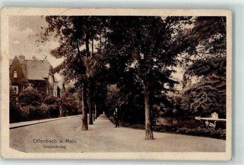 Offenbach Dreieichring Teich Schwäne