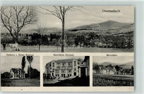 Obersasbach 1916 Gasthaus zum Neuen Erlenbad Marienheim Kuh