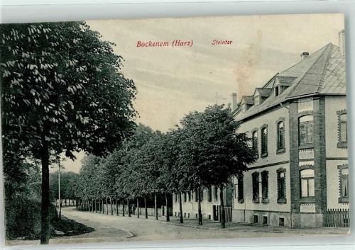 Bockenem Steintor