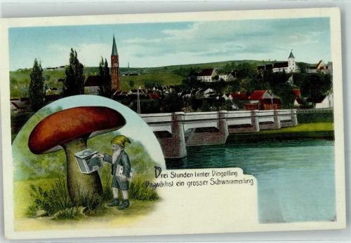 84130 W8312 Dingolfing Lithographie Drei Stunden hinter Dingolfing da wächst ein grosser Schwammerling Pliz Zwerg Post Briefkasten Brücke Kirche Brief