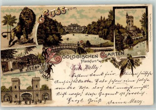 1899 Gruss aus Zool. Garten , Bärenzwinger, Affenhaus , Aussichtsturm Kunstanstalt Rosenblatt