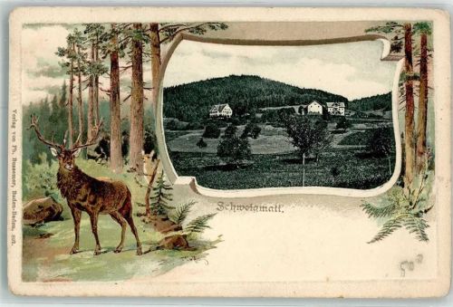 Schweigmatt Hirsch Wald Passepartout Lithographie
