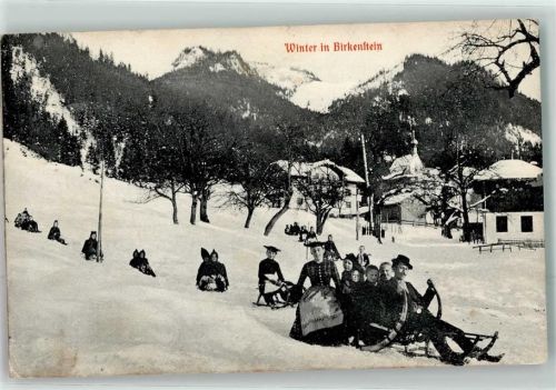 Birkenstein Winter Hornschlitten