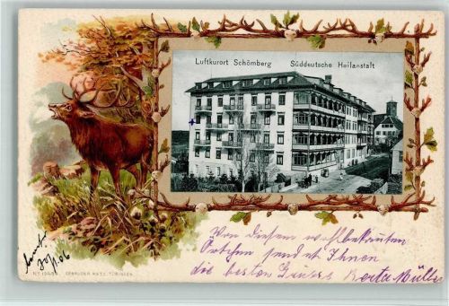Schömberg 1906 Passepartout Jagd Hirsch Süddeutsche Heilanstalt