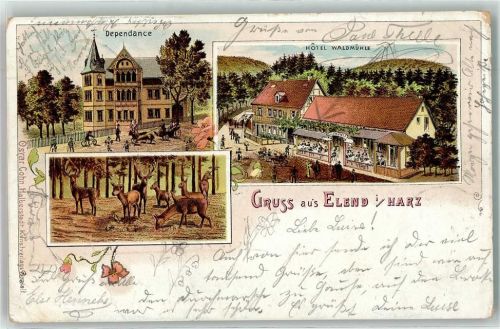 Elend 1898 Dependance Hotel Waldmühle Hirsch Rehe