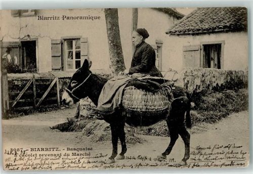 Biarritz 1905 Basquaise a cacolet revenant du Marche