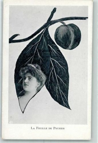 Metamorphose La Feuille du Prunier Blatt vermenschlicht AK