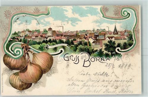 Borna 1899 Zwiebeln