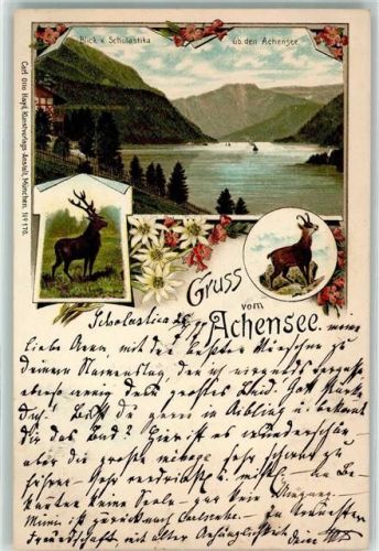 Achenkirch 1897 Blick v. Scholastika ü. d. Achensee Hirsch Gams