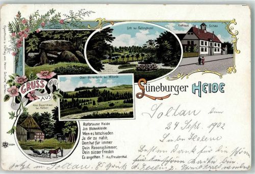 Soltau 1902 Gruss Lüneburger Heide Sieben Steinhäuser Rathaus Ober Haverbeck Altes Bauernhaus Heber Kutsche Blumen