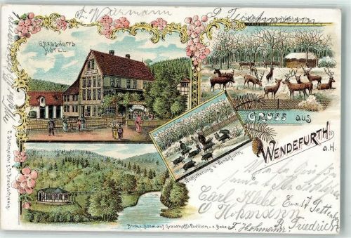 Wendefurth 1903 Grasshoff´s Hotel Pavillon Wildfütterung Blumen Gruss Reh Hirsch